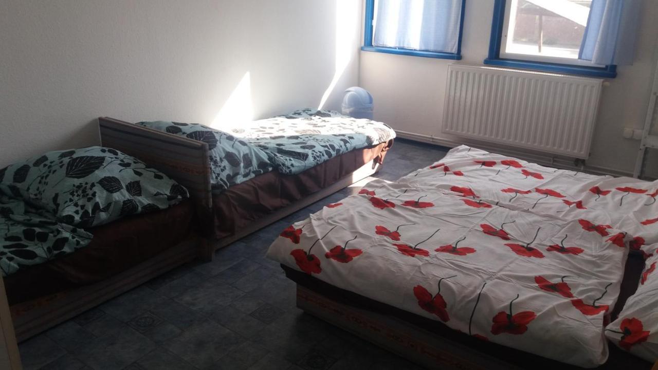 Oazis Park Motel Ráckeve Zewnętrze zdjęcie